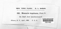 Image Associated With the Occurence